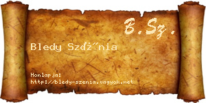 Bledy Szénia névjegykártya